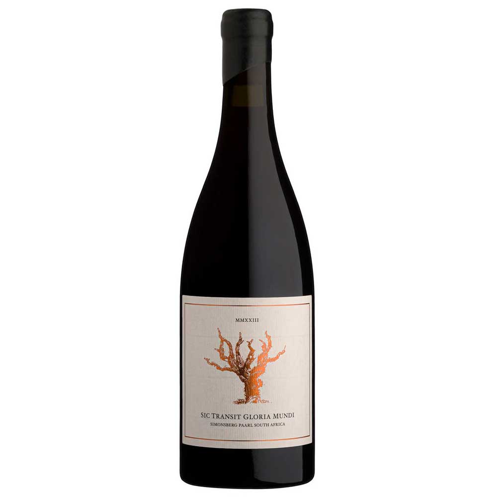 ノーブルヒル シック・トランジット・グロリア・ムンディ 2023