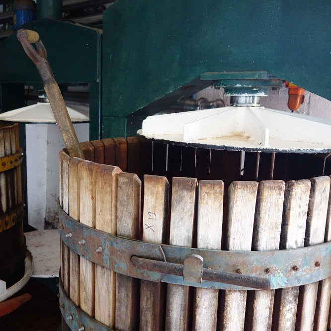 南アフリカ クロ・マルヴェルヌ