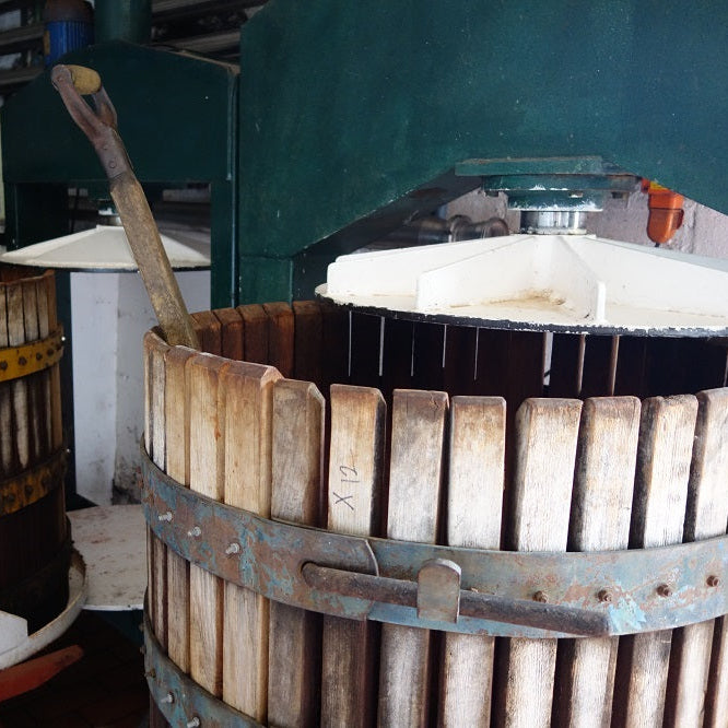 南アフリカ クロ・マルヴェルヌ