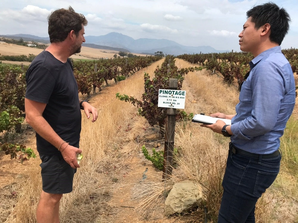 南アフリカ ボーモン・ワインズ