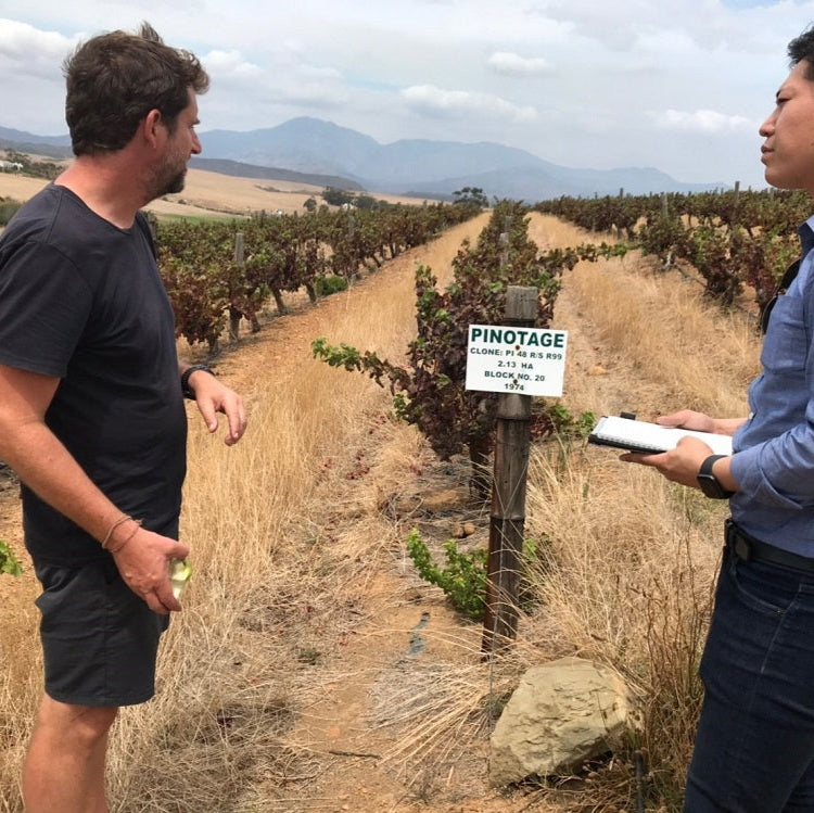 南アフリカ ボーモン・ワインズ