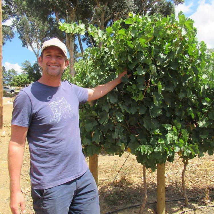 南アフリカ ボーモン・ワインズ