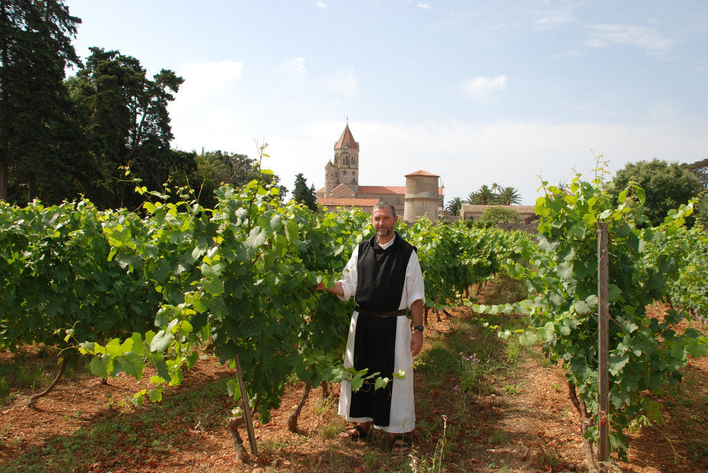 修道士の白 キュヴェ・サンセザール シャルドネ 2024