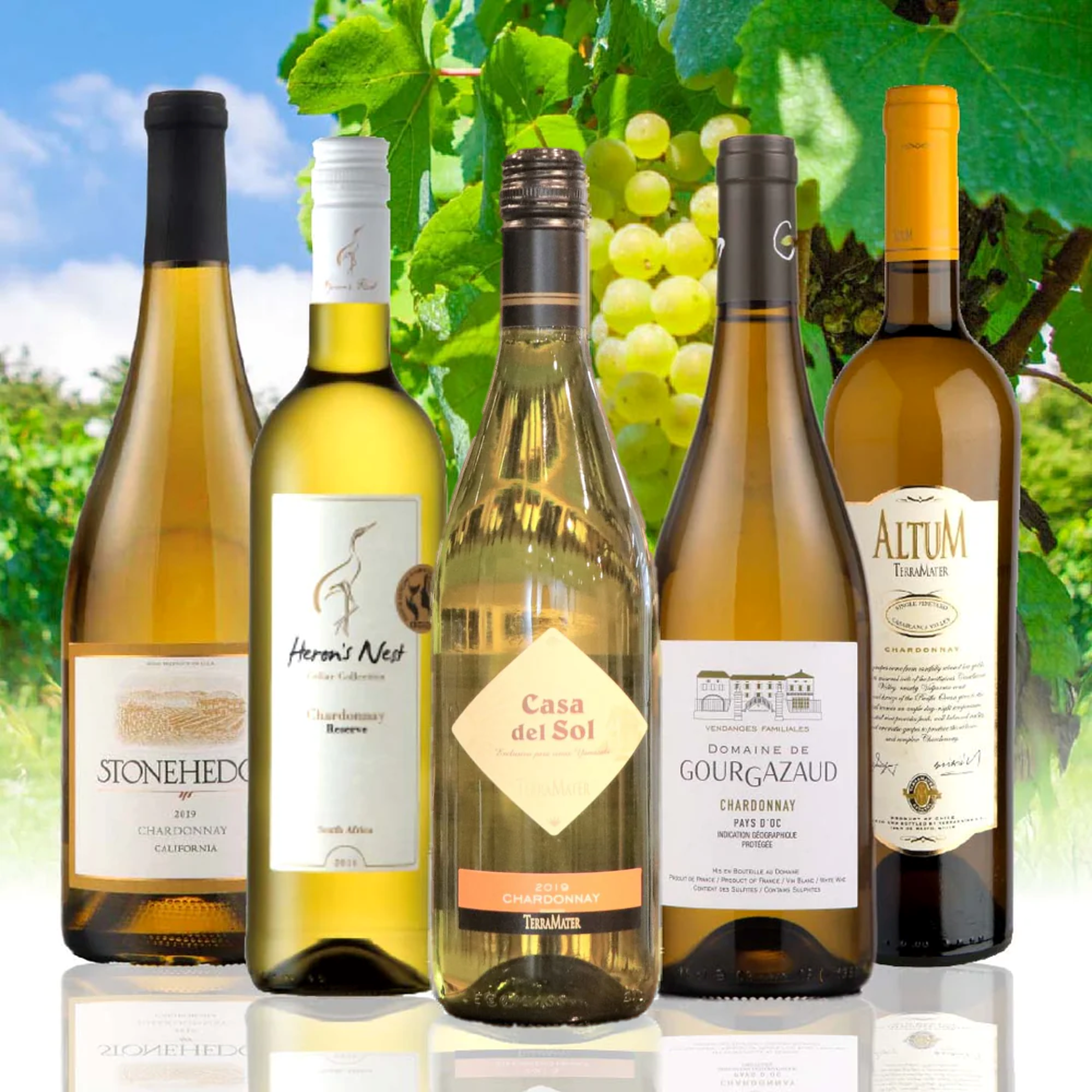 【WEB限定】世界のシャルドネセット 第3弾