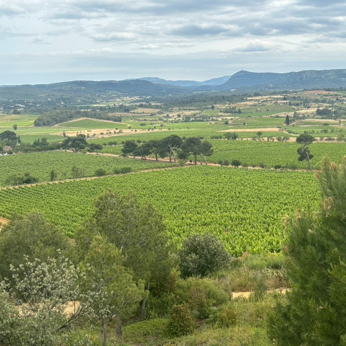 フランス シャトー・レゾリュー