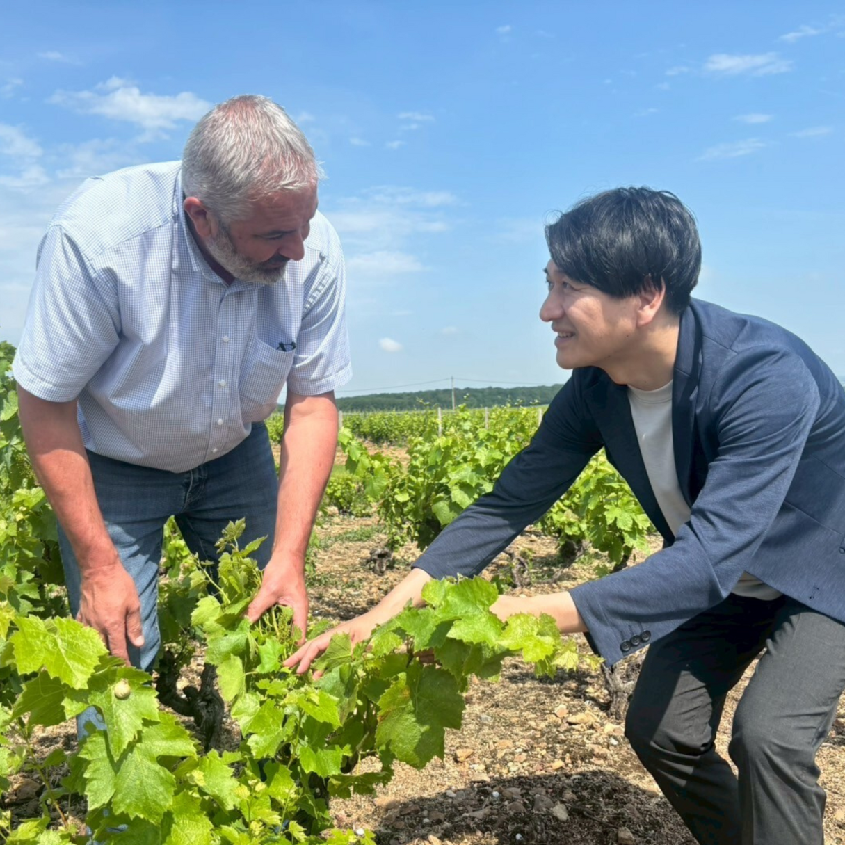 フランス ドメーヌ・デュ・ペール・ギヨ