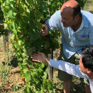 フランス ドメーヌ・エミール・ボエケル