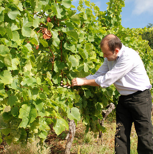 フランス ドメーヌ・エミール・ボエケル