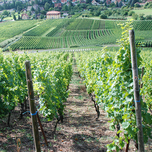 フランス ドメーヌ・エミール・ボエケル