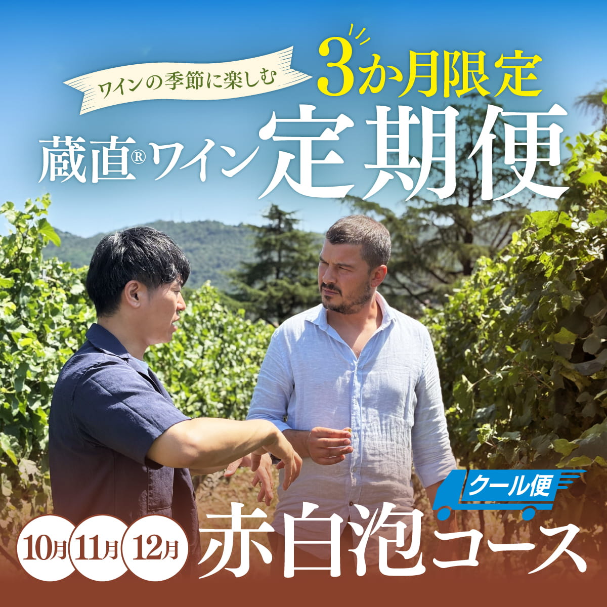 【WEB限定・3か月定期便】赤白泡コース_クール便