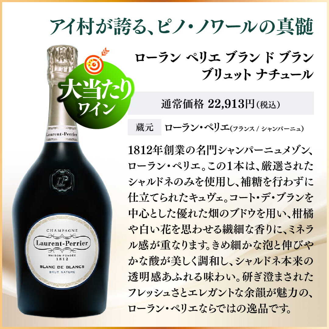 【1/10の確率で大当たり!】WEB限定 夏の当たりつき福箱 10,000円(要クール便)