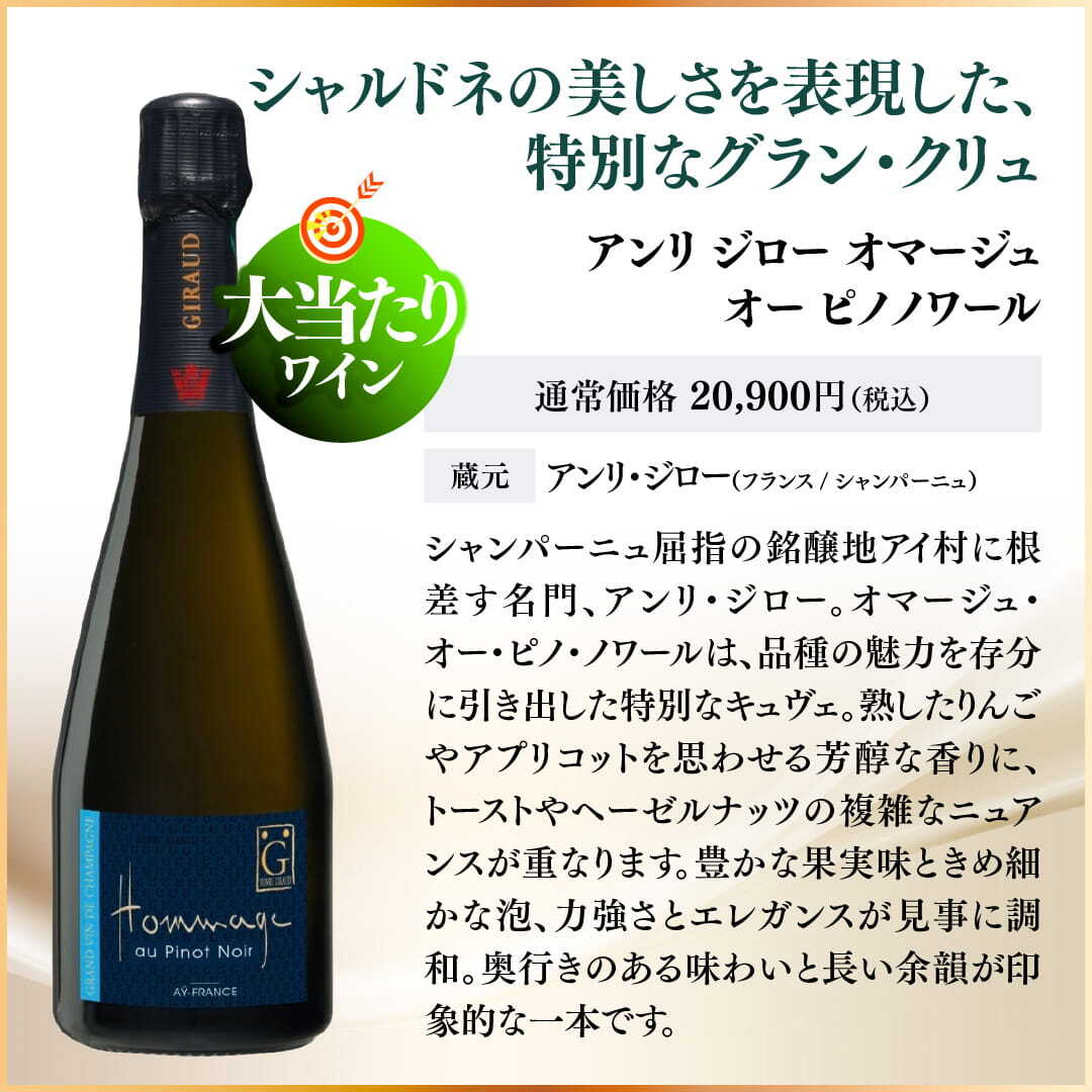 【1/10の確率で大当たり!】WEB限定 夏の当たりつき福箱 10,000円(要クール便)