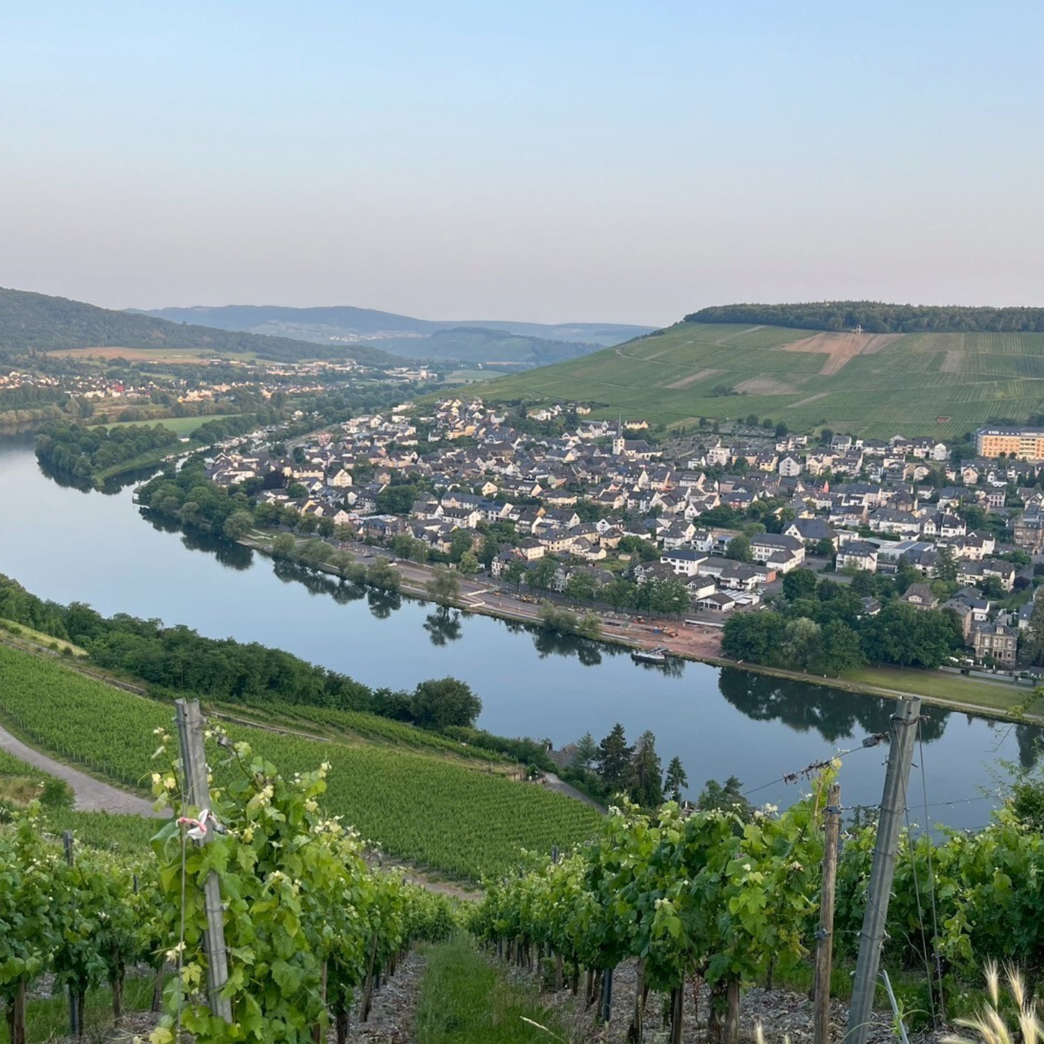 ドイツワイン モーゼル ウィリ・ハッグ リースリング