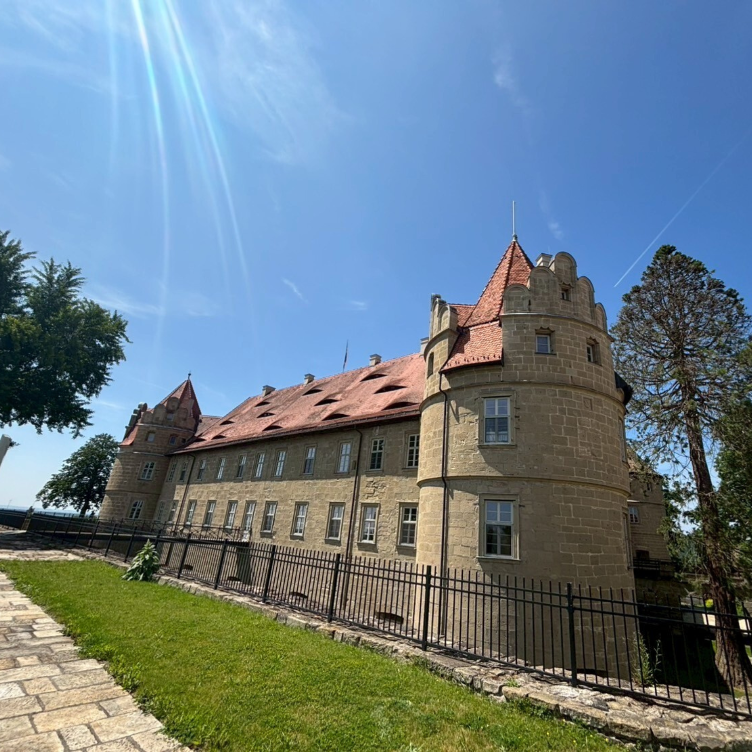 マイアー ドイツワイン ヴィノスやまざき 急勾配 ぶどう畑 自然な造り