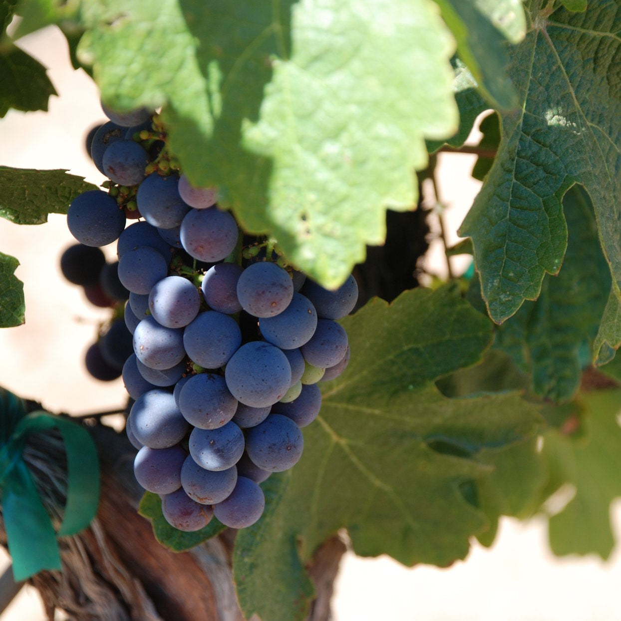 アメリカ ストーンヘッジ