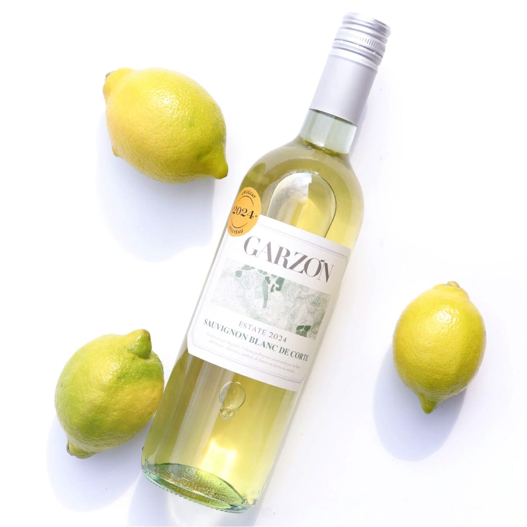 ガルソン・ヌーヴォー白 2025