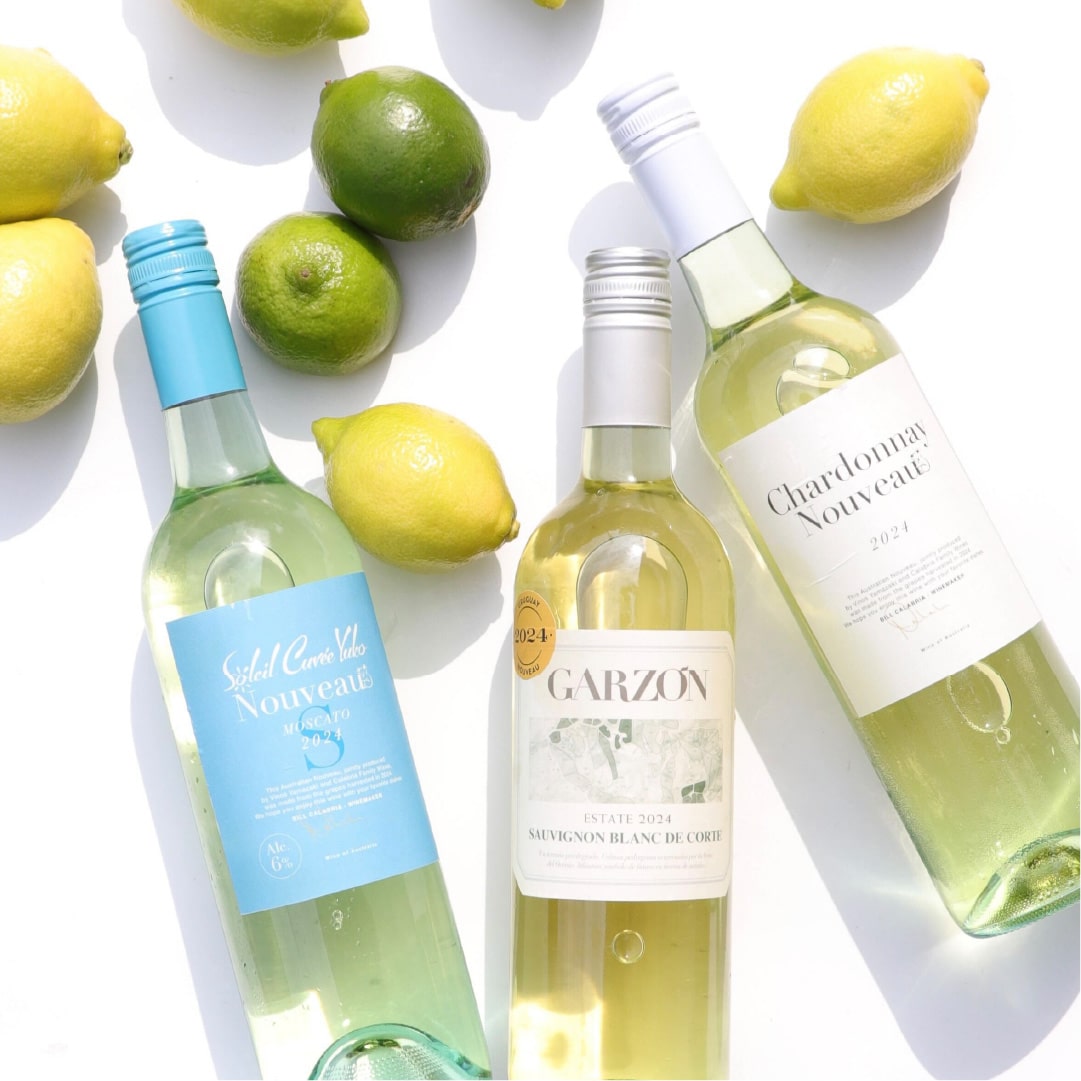 ガルソン・ヌーヴォー白 2025