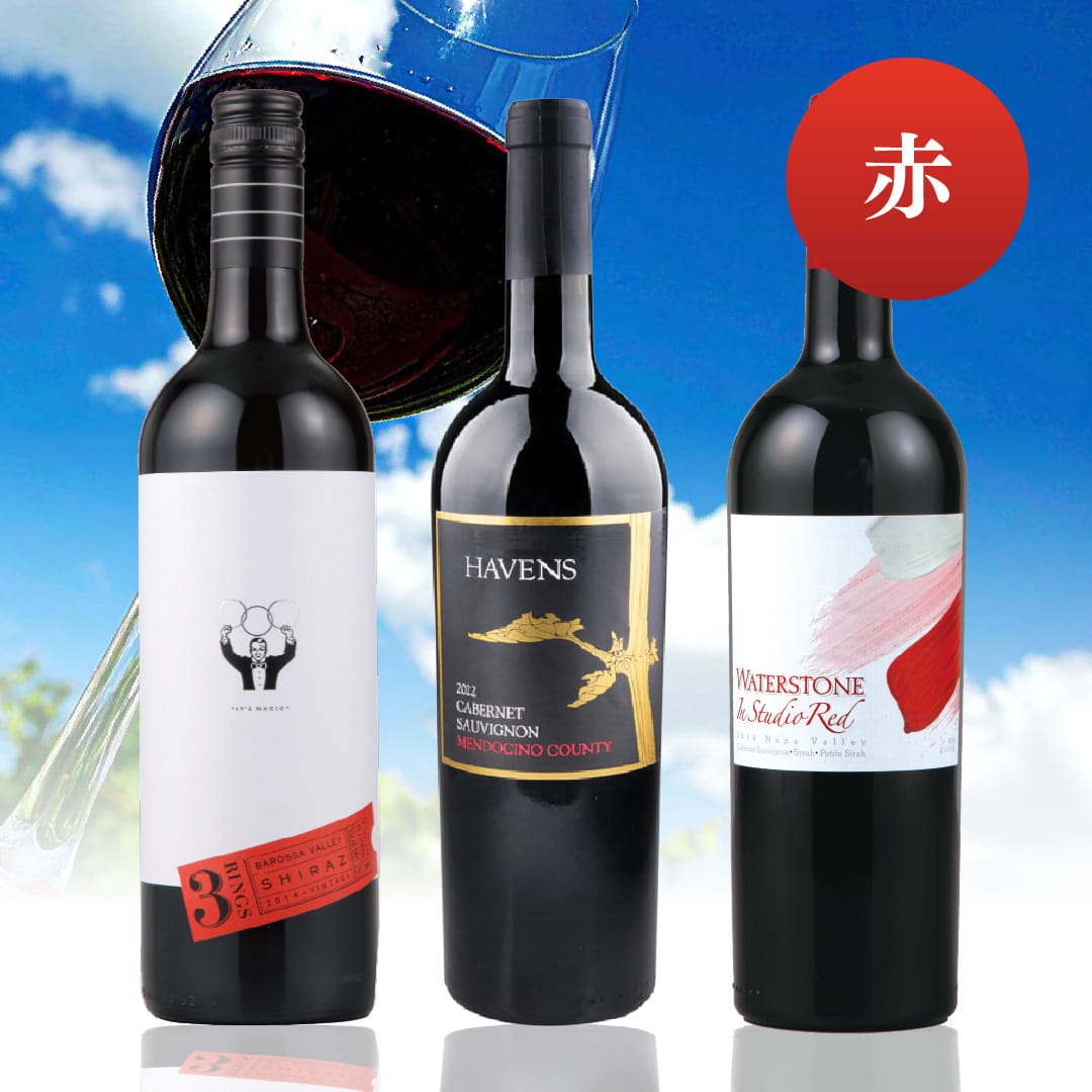 【ご予約】スーパーサマーワインバスケットB 10,000円 赤3本 【2026年6月27日以降お届け予定】