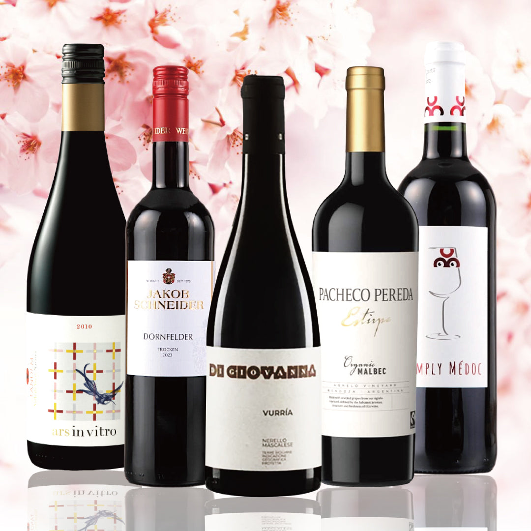 【WEB限定】春気分赤ワインセット