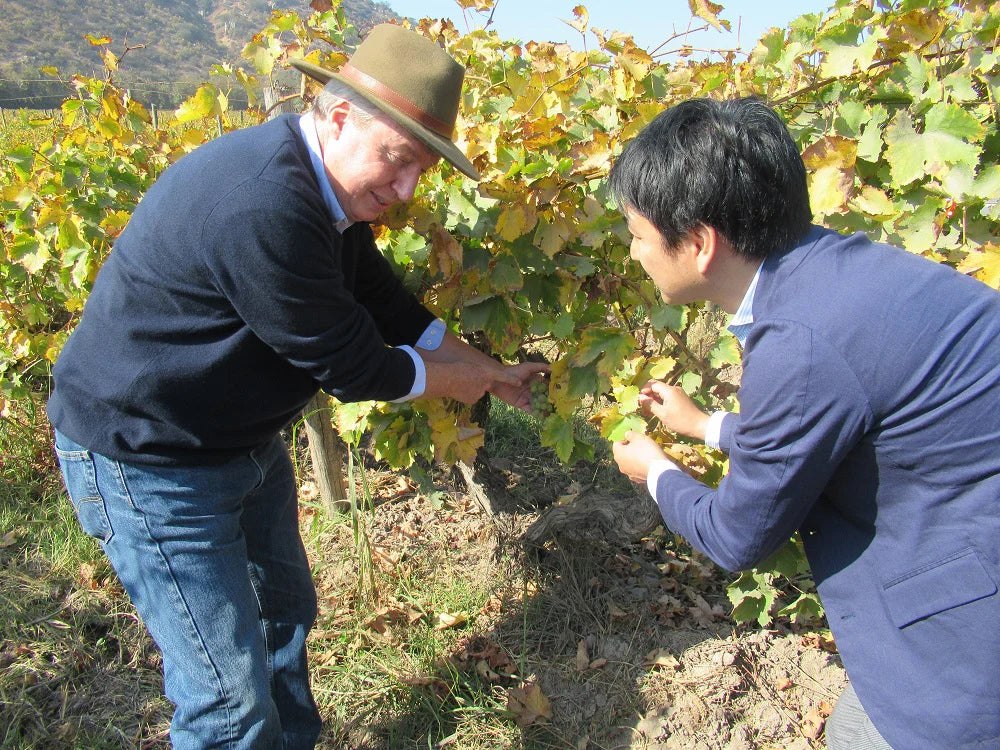 「蔵直🄬ワイン定期便」10月うま得白白コース