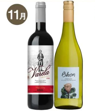 【蔵直Ⓡワイン定期便】１１月うま得赤白コース