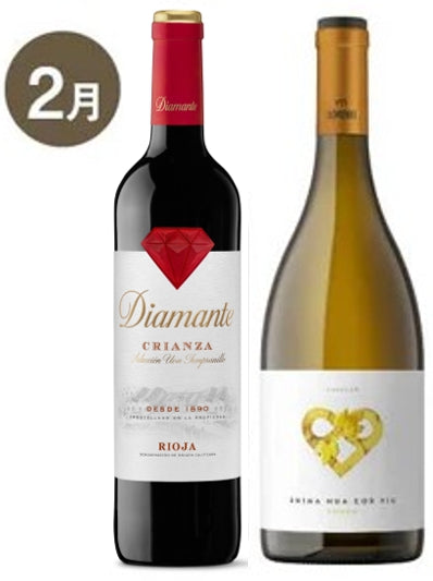 【蔵直Ⓡワイン定期便】２月プレステージ赤白コース