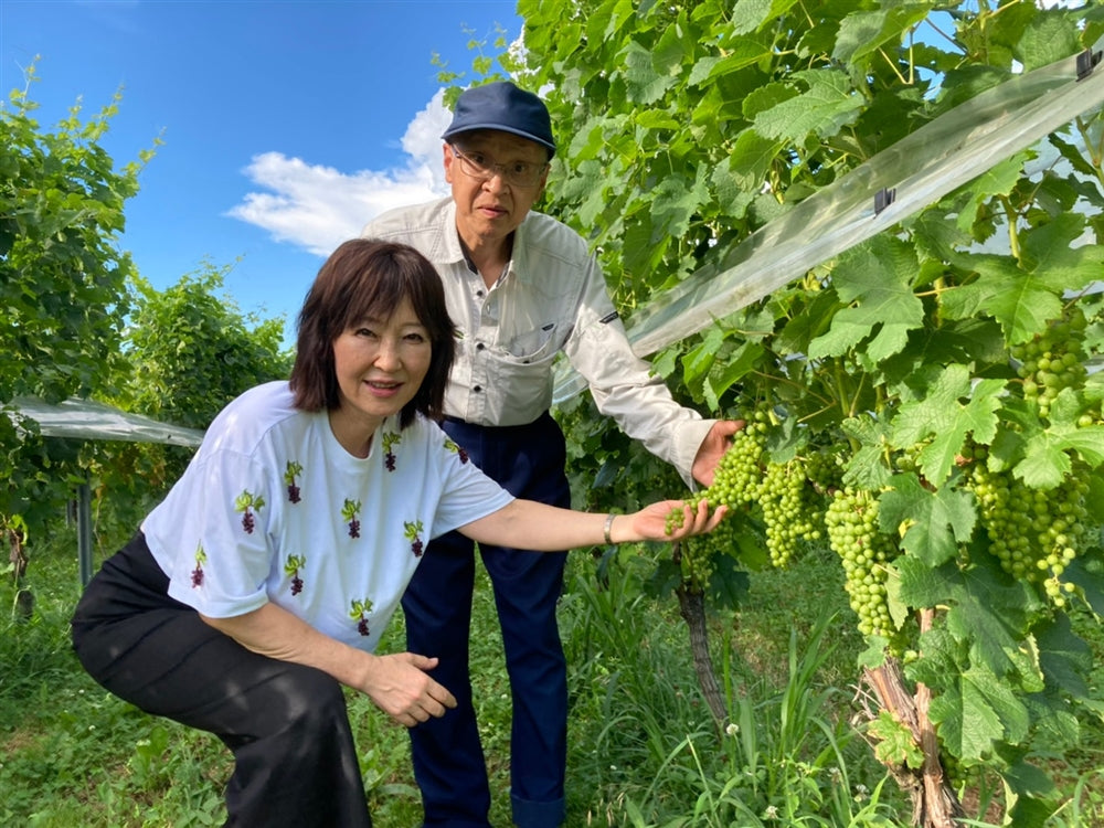 ヴィノスの日本ヌーヴォー到着まであと2日！
