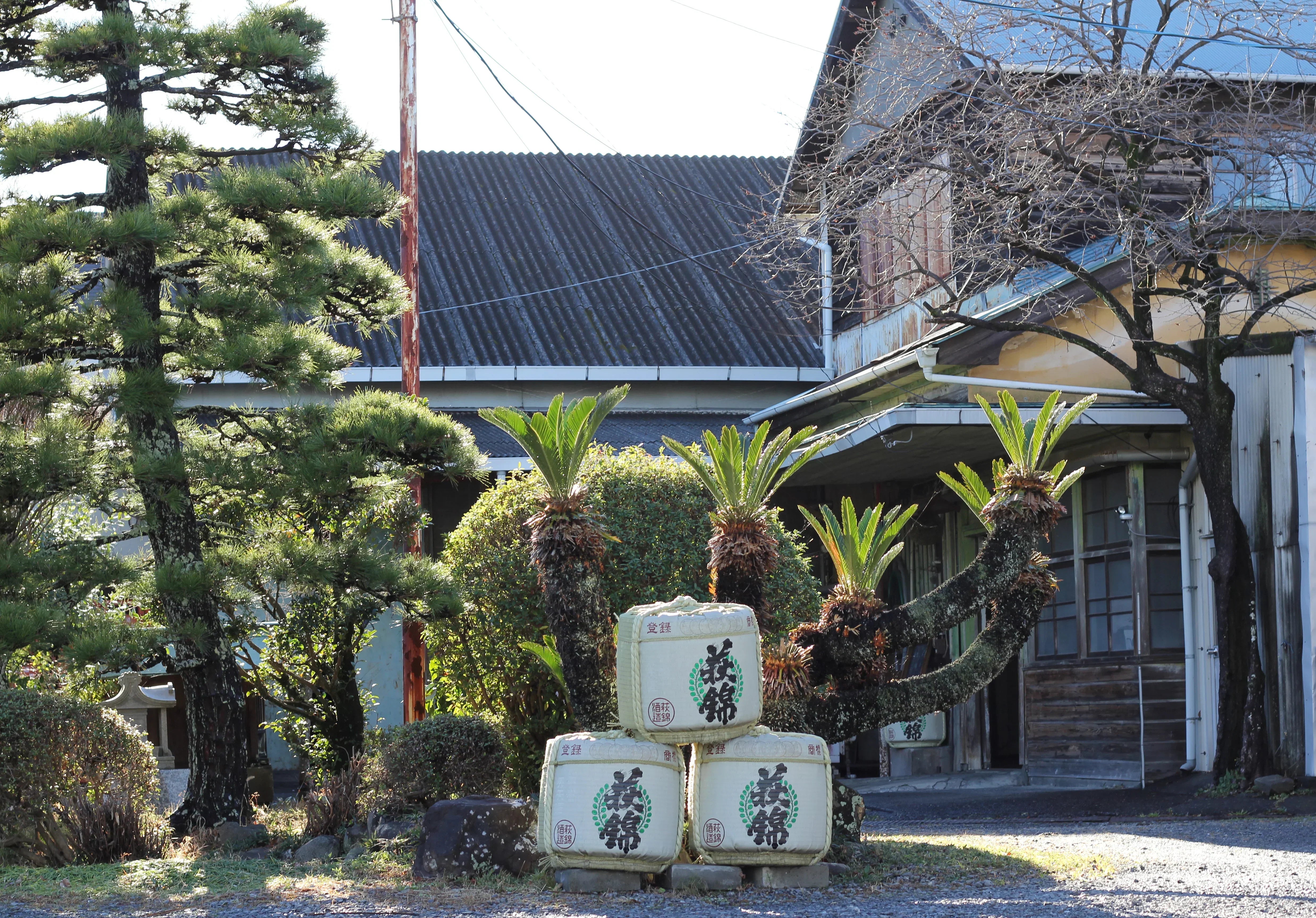 【蔵直🄬ワイン定期便】6月地酒倶楽部・蔵コース