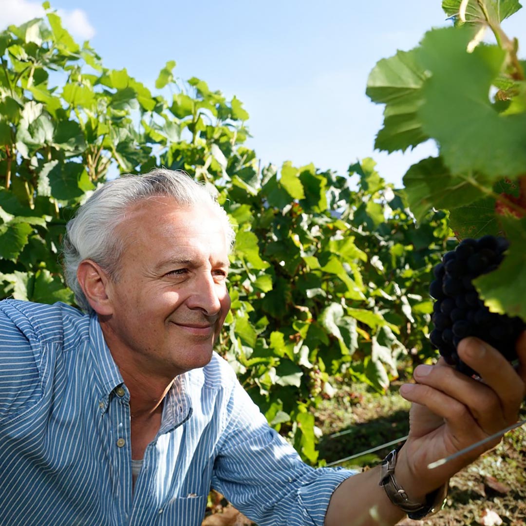 【蔵直Ⓡワイン定期便】１２月銘醸スパークリングコース