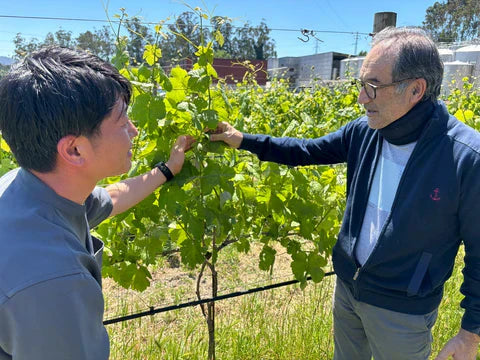 【蔵直Ⓡワイン定期便】１１月プレステージ赤赤コース