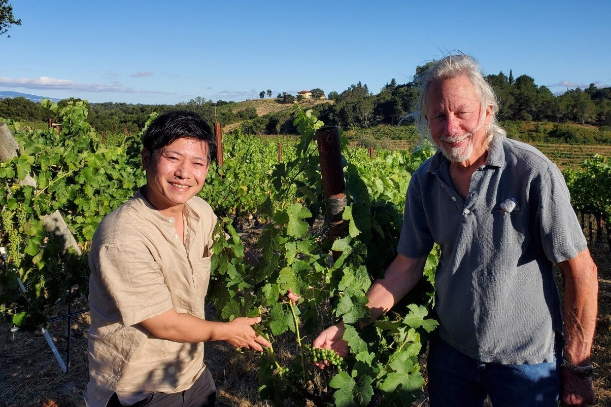 クール便着払　エマニュエル・ブロシェ オーシャルドネ2016 クール便着払 エマニュエル・ブロシェ オーシャルドネ2016 クール便