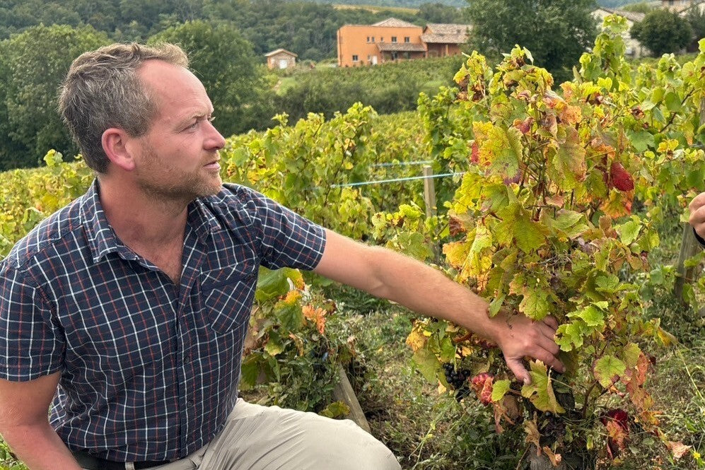 ボディヤール ヌーヴォー ブラン 2025