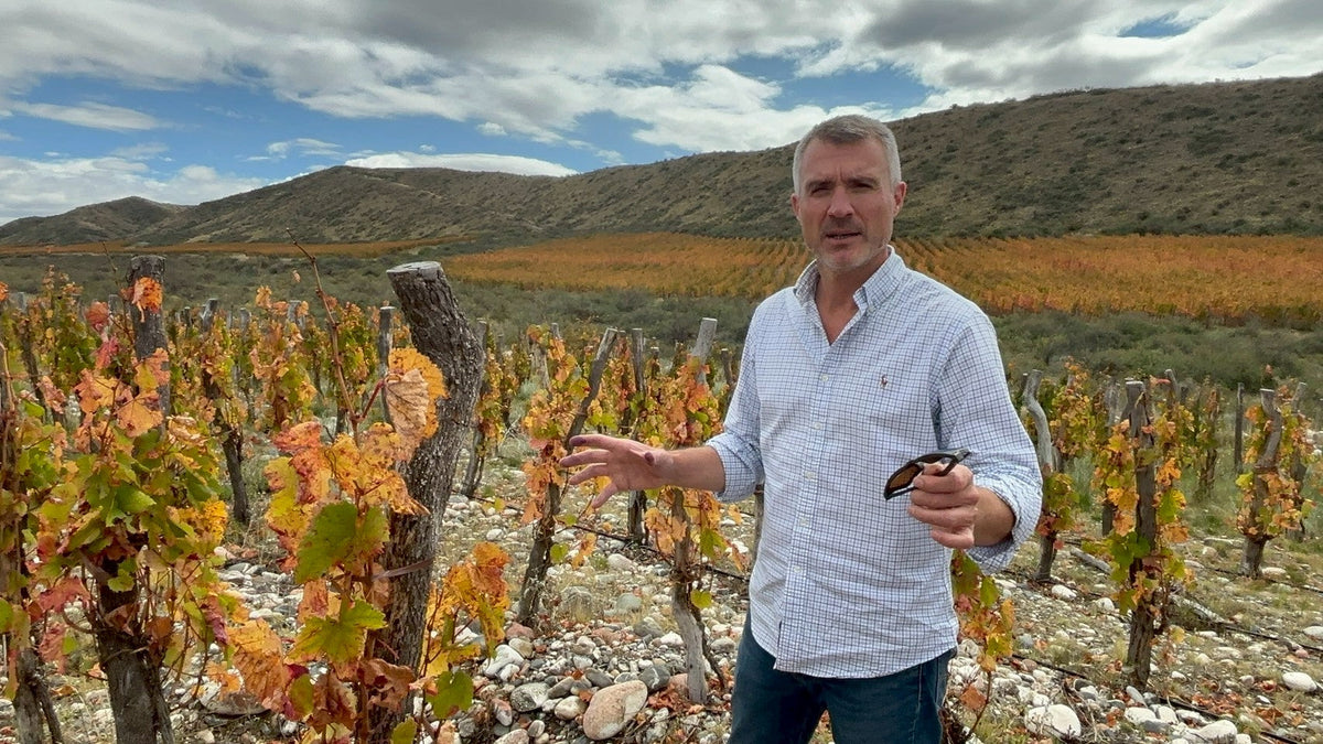 「蔵直🄬ワイン定期便」９月うま得赤赤ワインコース