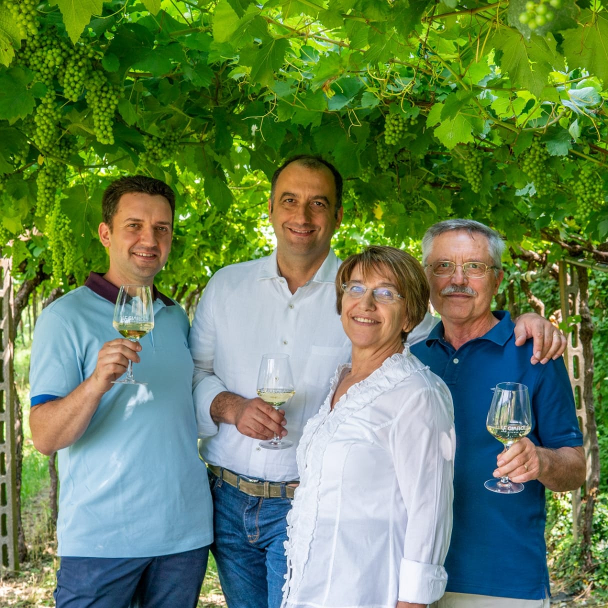 【蔵直Ⓡワイン定期便】１１月うま得赤赤コース