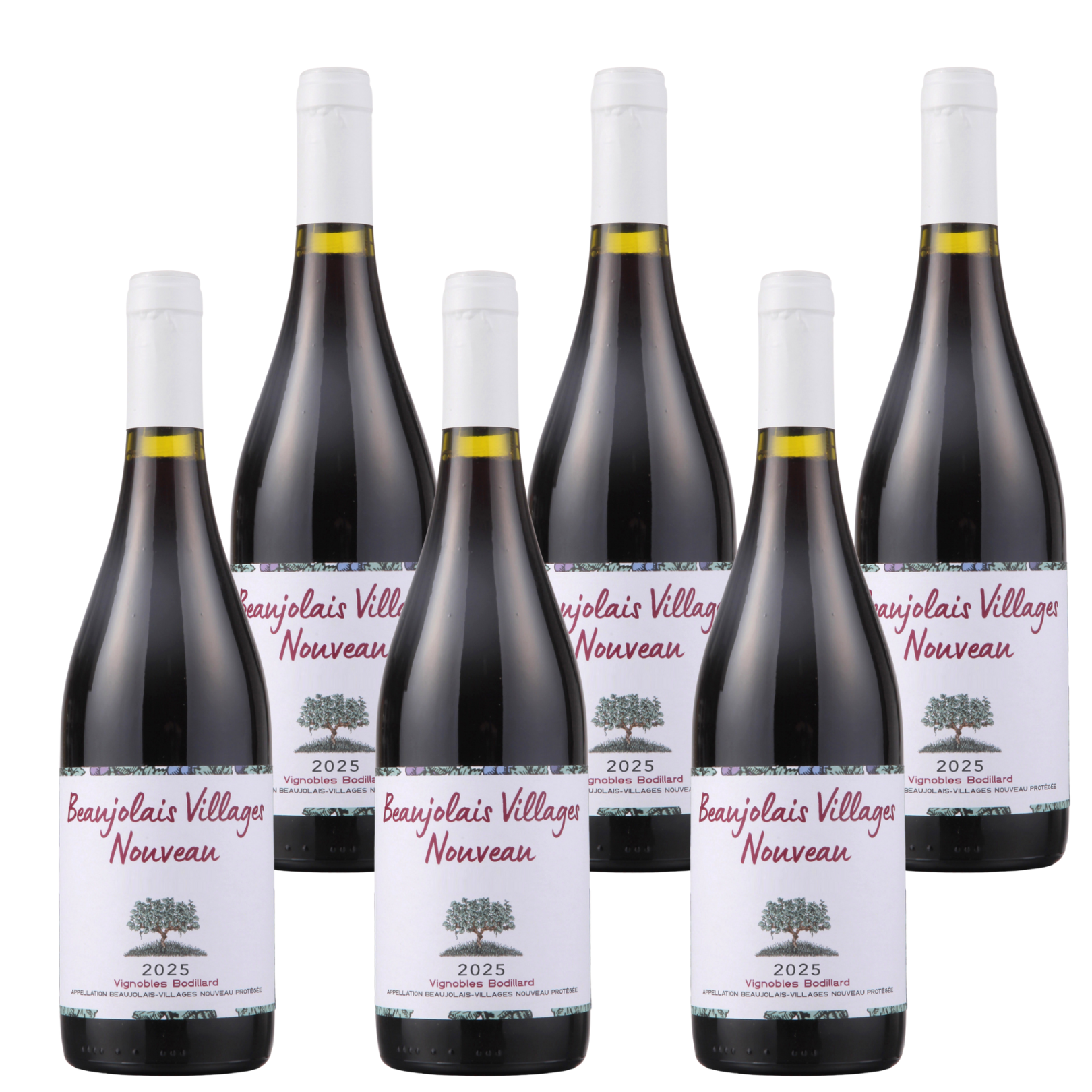 ボジョレー他、ワイン19本セット WE 送料無料 2025 ボジョレー ヌーヴォー 6本ワインセット