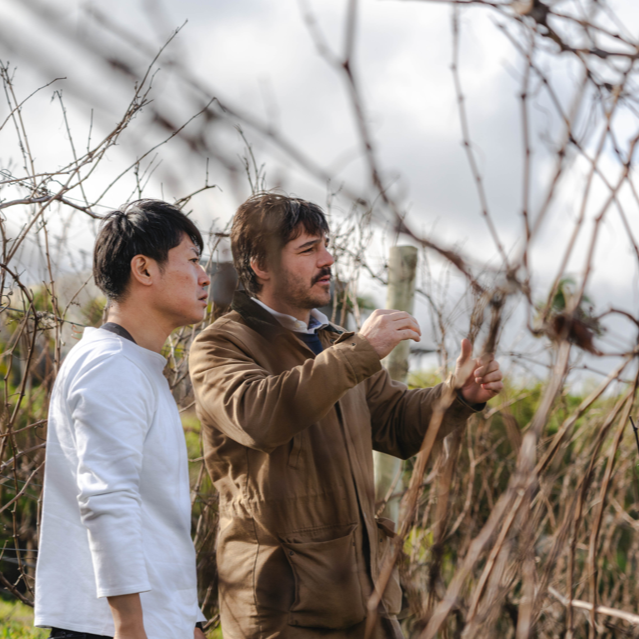 ガルソン マルセラン レセルバ
