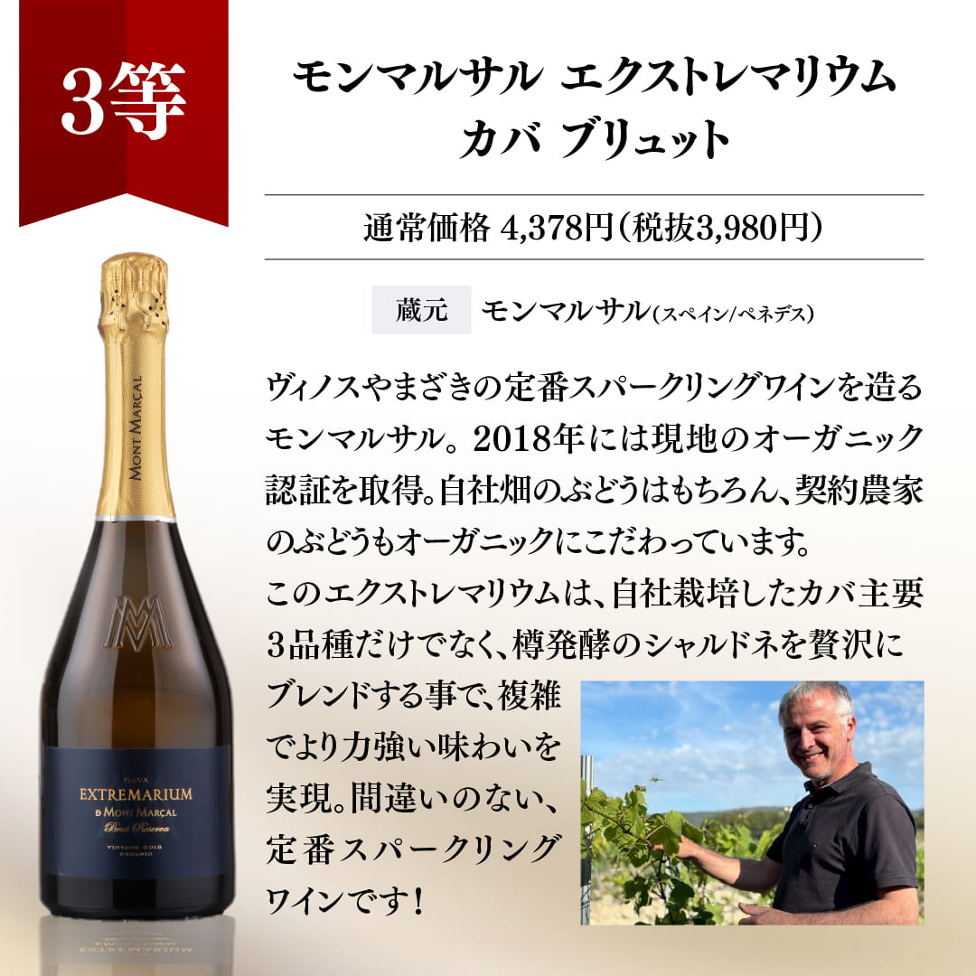 【WEB限定】プレミアム3本ワインくじ【要クール便】【6月19日以降のお届け】