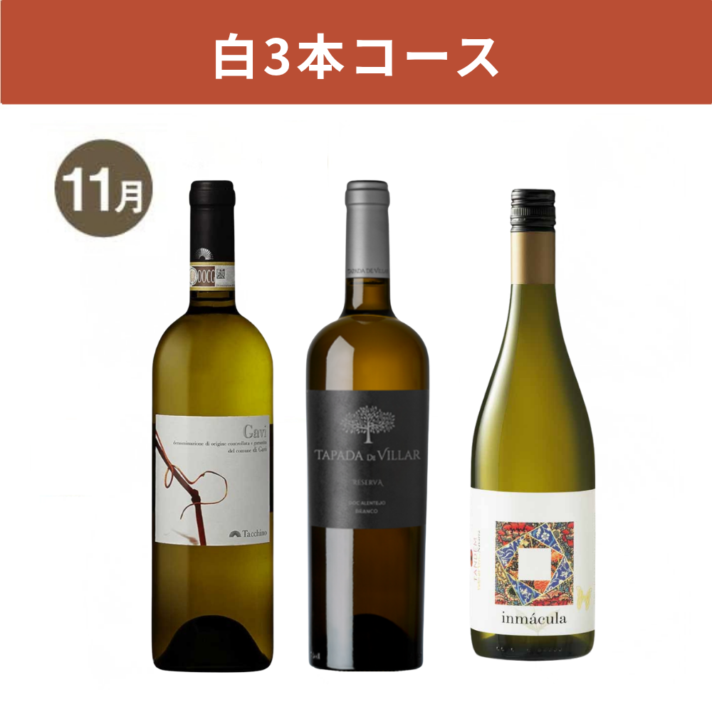【WEB限定・3か月定期便】白3本コース_通常便