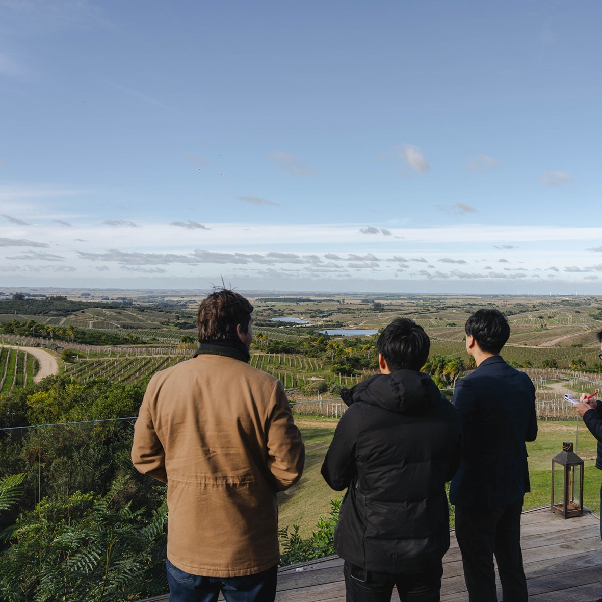 ウルグアイ ボデガ・ガルソン ワイン　ワインスペクテーターTOP100　バリューワインTOP10