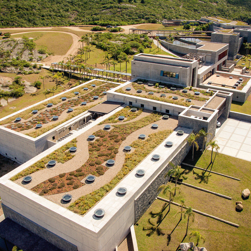 ウルグアイ ボデガ・ガルソン ワイン　ワインスペクテーターTOP100　バリューワインTOP10