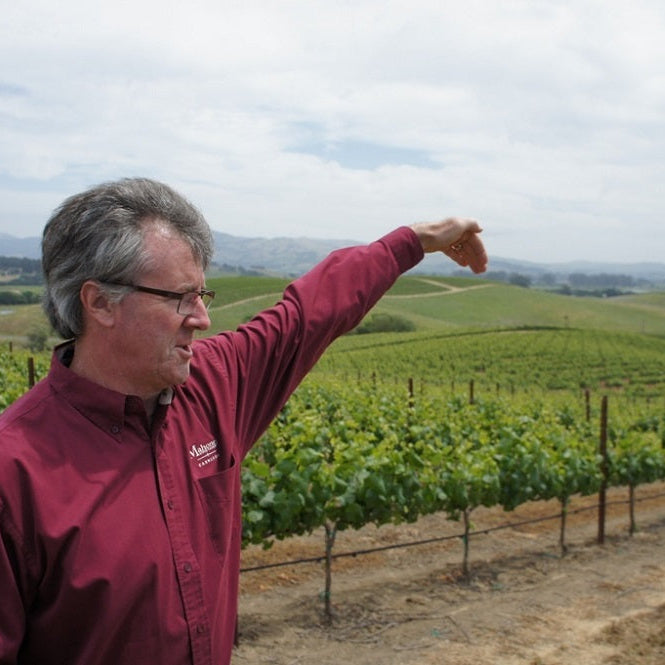 アメリカ マホニー・ヴィンヤーズ