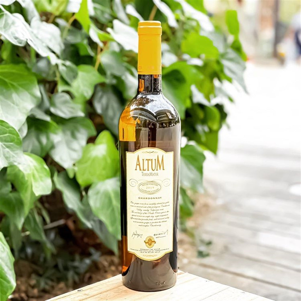 【WEB限定】世界のとっておきワイン6本セット【SET】