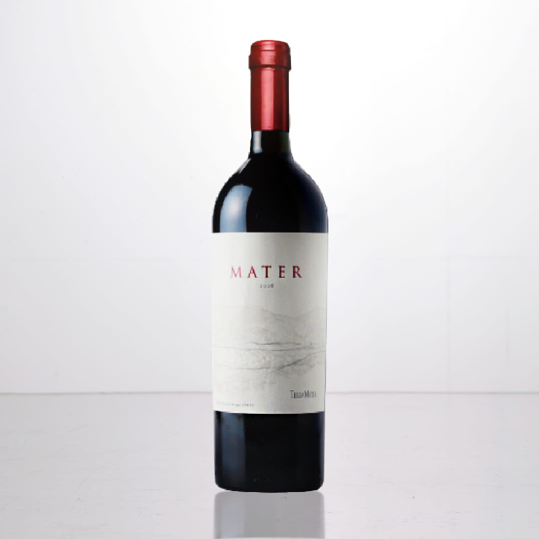 テラ・マター マター 2019