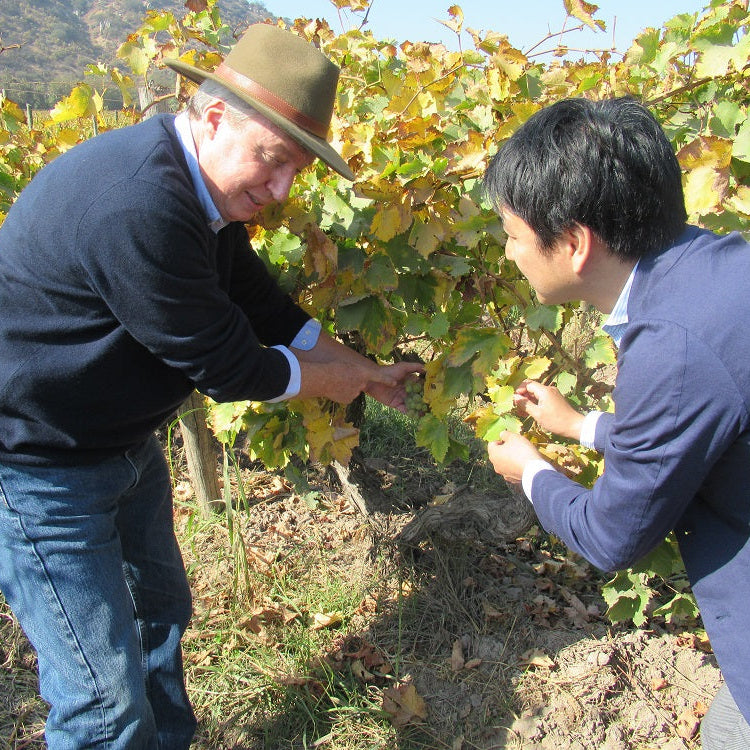 チリ テラ・マター