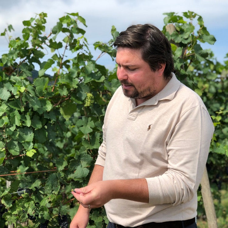 フランス ジョセフ・カタン