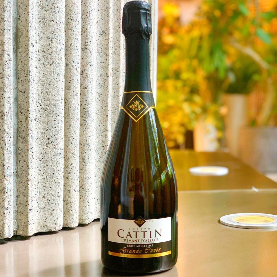 【WEB限定】BLACKな白&泡3本セット第2弾【2025年11月21日以降のお届け】