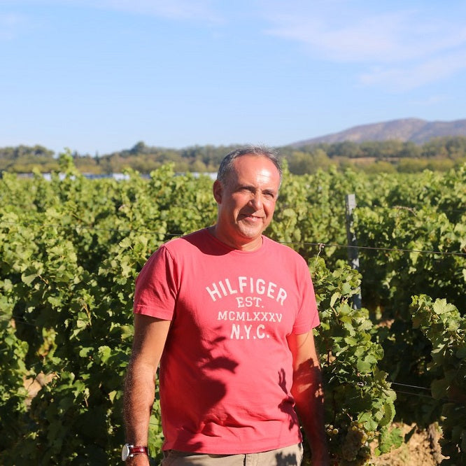 チリ プンティ・フェレール