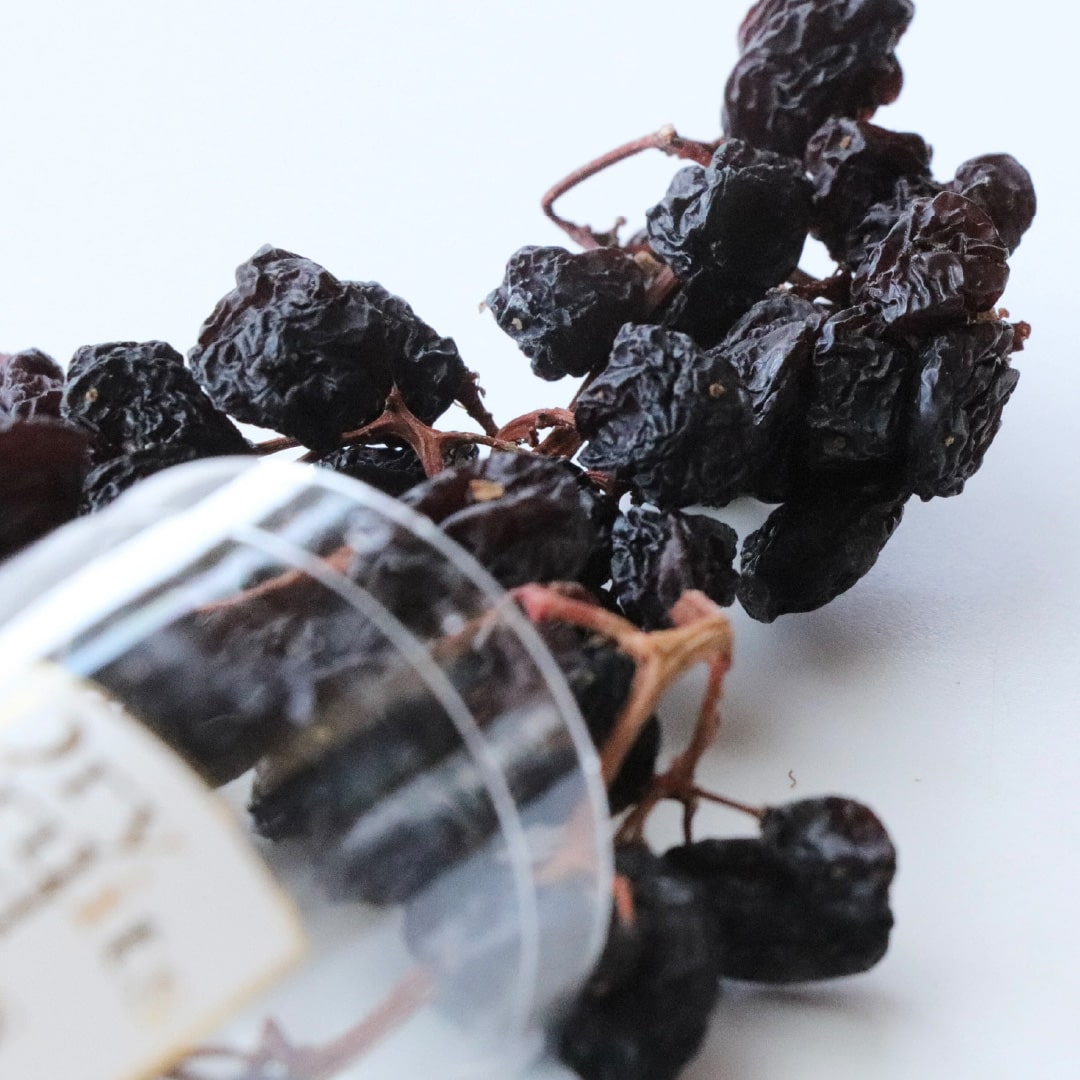 ドライレーズン（枝付き）