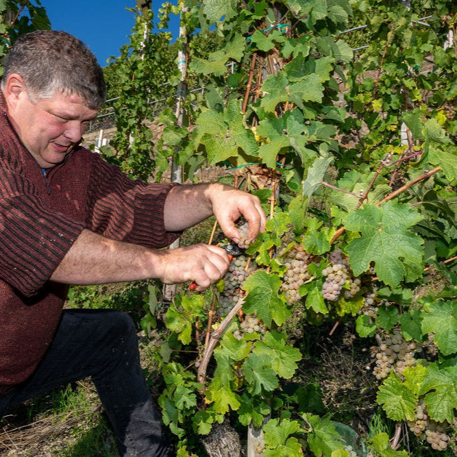 ドイツ ウィリ・ハッグ