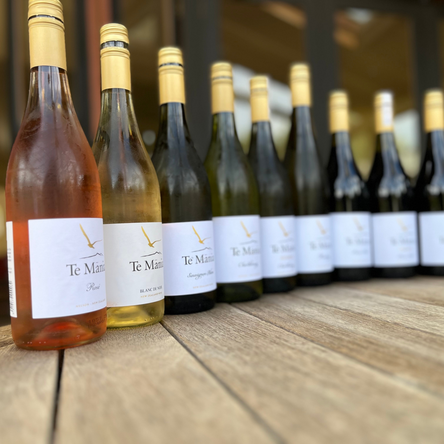 テ マニア シラー